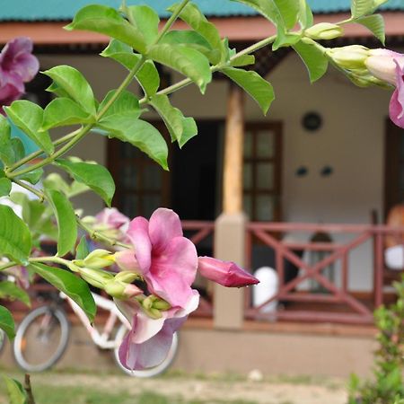Paodise Guesthouse Ла-Диг Экстерьер фото