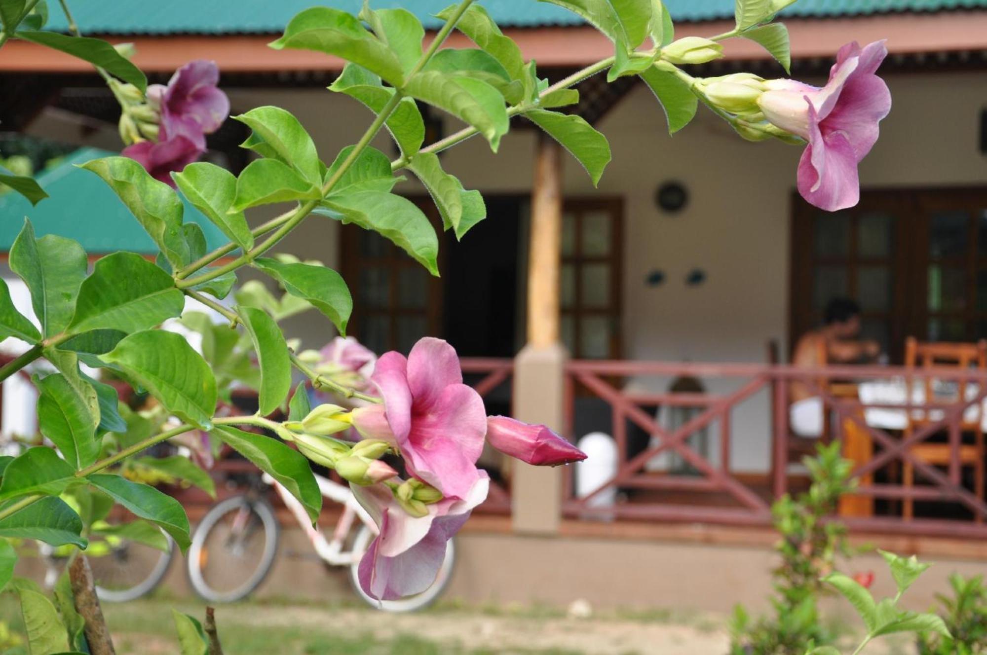 Paodise Guesthouse Ла-Диг Экстерьер фото
